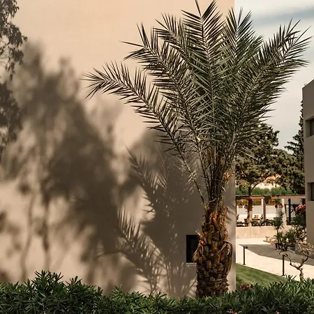 Hotel Cook's Club Rhodes -adults Only 5*