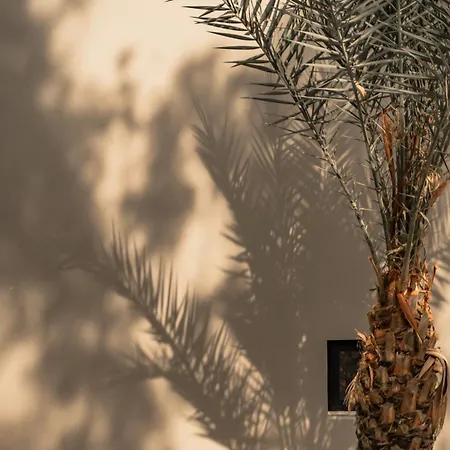 Cook's Club Rhodes -adults Only Kolymbia