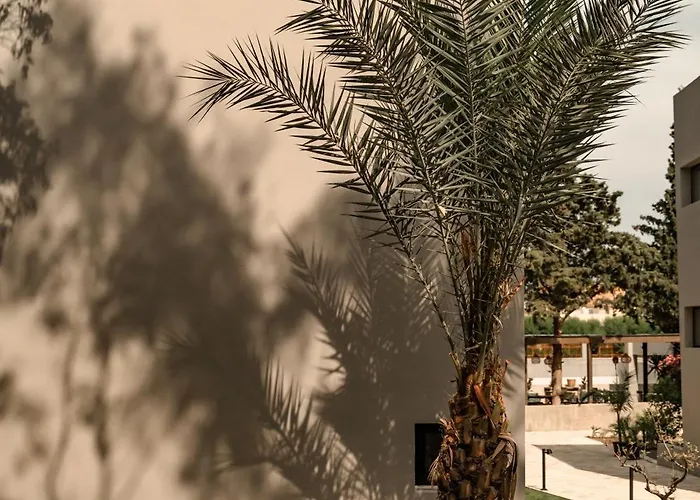 Otel Cook's Club Rhodes -adults Only 5*