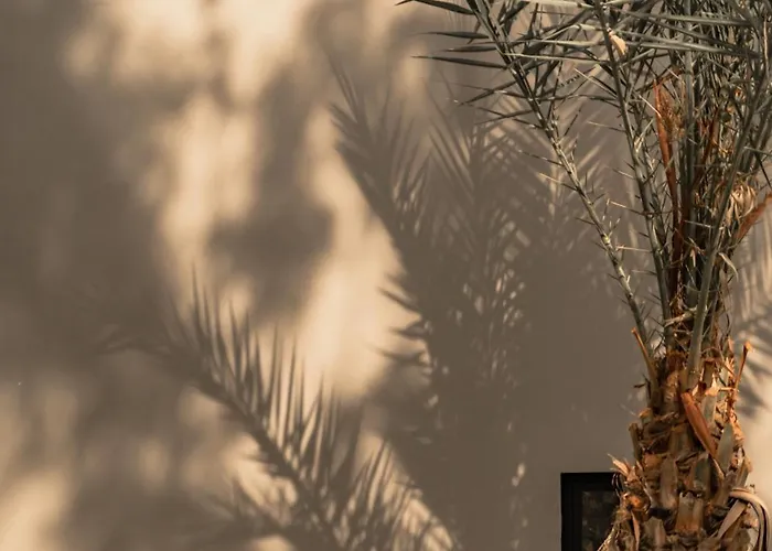 Cook's Club Rhodes -adults Only Kolymbia